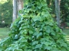 dsc01698_edited-1