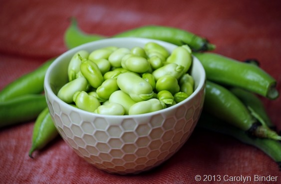 Spring Means Fava Beans