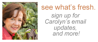 EmailUpdates